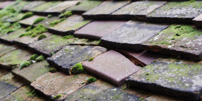 Elsenham roof repair costs